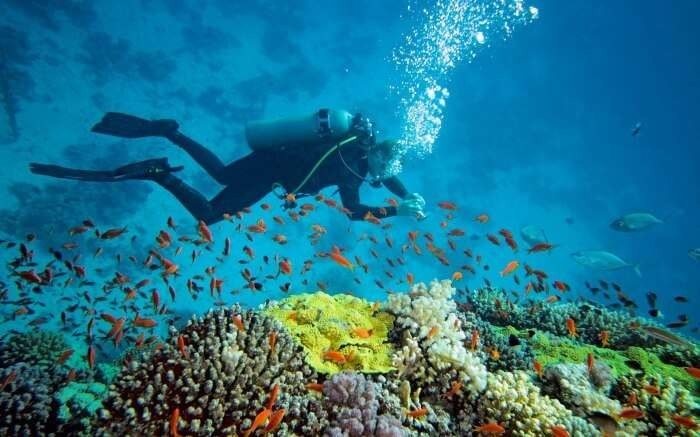 travel-image